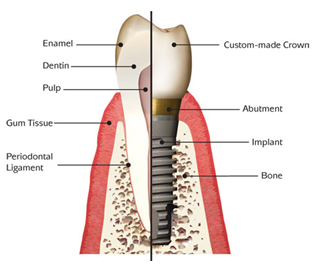 Dentist in Goa